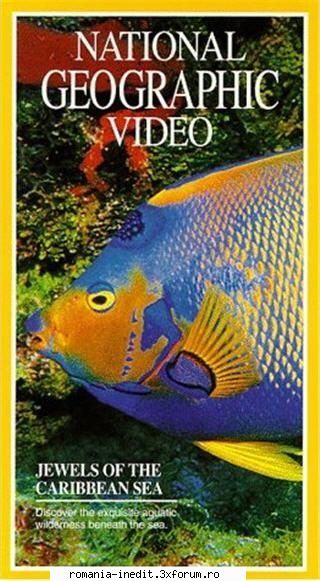 National Geographic - Jewels of the Caribbean Sea - DVDrip, English. National Geographic's - Filme - Movies