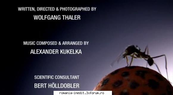 [ORF] Ants - Nature's Secret Power (2006) - Ants - Nature's Secret Power (2006) ORF Titlu - Filme Documentare