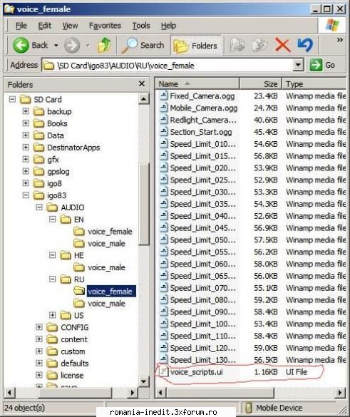 [OTHER] Igo8 Dem, language, voice, buildings, speedcams, sys.txt, etc - basile27ro - GPS Maps & Mapping - Download