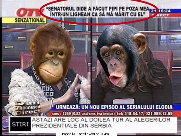 OTVizarea si efectele otevizarii - Priviti si minuntati-va - Funny