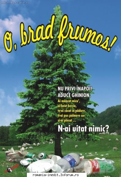 O,Brad frumos !!! - O,Brad frumos !!! - Funny