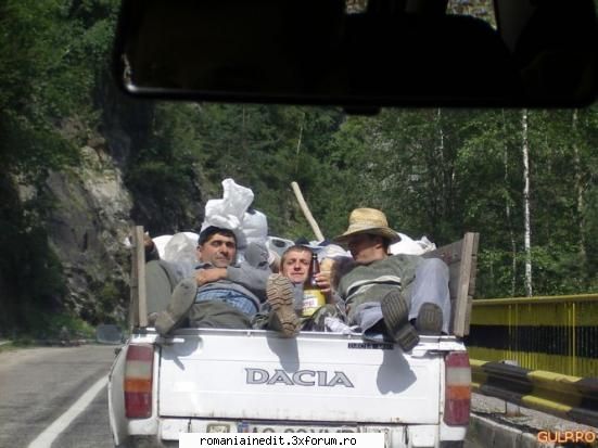 Odorizant auto : Sau cu porcul in Tico:) - SoDMaster - Funny