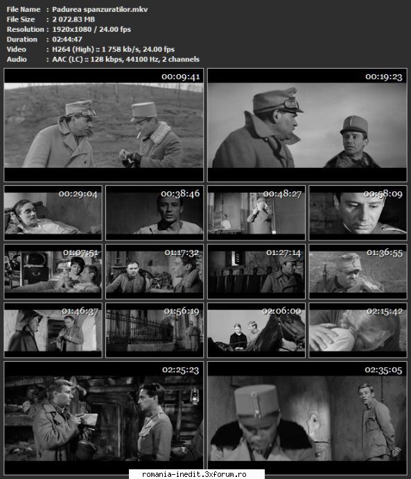 Padurea spanzuratilor (1964) - sasadoru - Filme rom�nesti - Romanian Movies