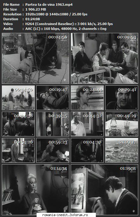 Partea ta de vina (1963) - sasadoru - Filme rom�nesti - Romanian Movies