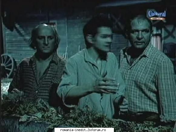 Patima de sub ulmi (Teatru TV) - Pelicula reprezinta o ecranizare a - Teatru rom�nesc - Romanian Theater