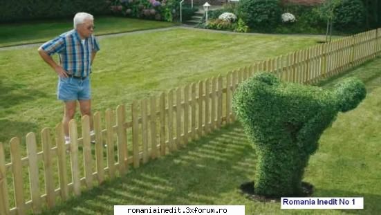 Pentru vecinu' ce va dispera! - Ce mi-as face si eu asa ceva pt vecini! - Funny