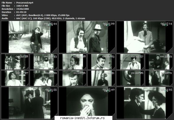 Pescarusul (1974) (Teatru) - sasadoru - Teatru rom�nesc - Romanian Theater