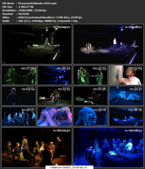 Pescarusul(Teatrul Bulandra) - sasadoru - Teatru rom�nesc - Romanian Theater