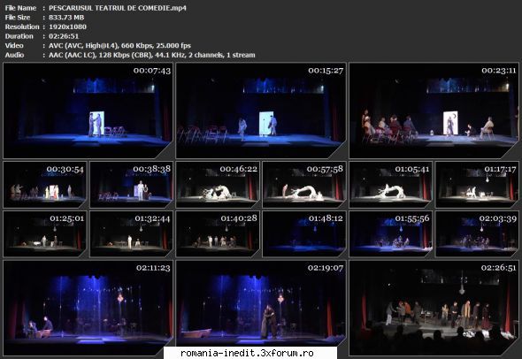 Pescarusul (Teatrul de Comedie) (2013) - sasadoru - Teatru rom�nesc - Romanian Theater