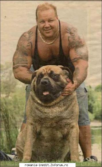 Photos - Real & Rare - fake acesta e cel mai mare caine(Hercule) - Off Topic
