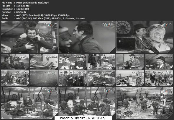 Pic-nic pe c�mpul de luptă (1979) (Teatru TV) - sasadoru - Teatru rom�nesc - Romanian Theater