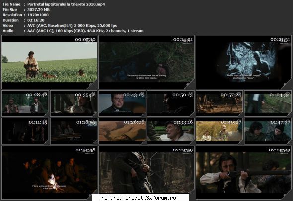 Portretul luptatorului la tinerete (2010) - tvrip luptătorului la - Filme rom�nesti - Romanian Movies