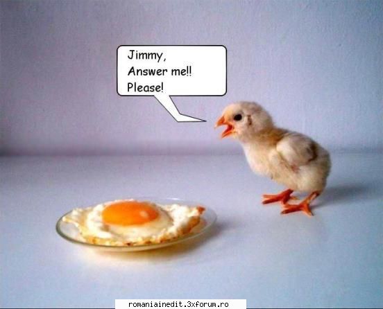Poze..... - Asta se prinde cam greu - Funny