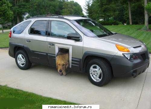 Poze Funny - SoDMaster - Funny