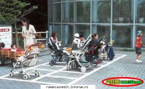 Poze funny..... - beavis_ - Funny