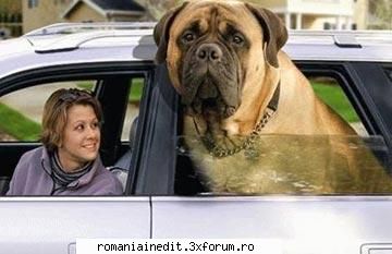 Poze funny cu animale :) - SoDMaster - Funny