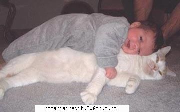 Poze funny cu animale :) - SoDMaster - Funny