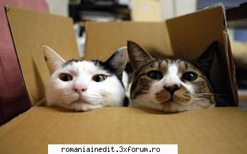 Poze funny cu animale :) - SoDMaster - Funny