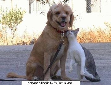 Poze funny cu animale :) - SoDMaster - Funny