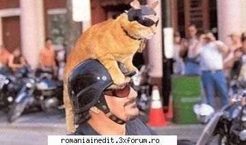 Poze funny cu animale :) - SoDMaster - Funny