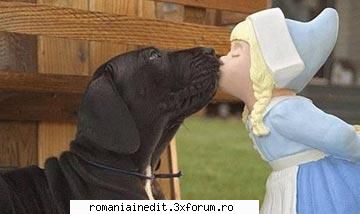 Poze funny cu animale :) - SoDMaster - Funny