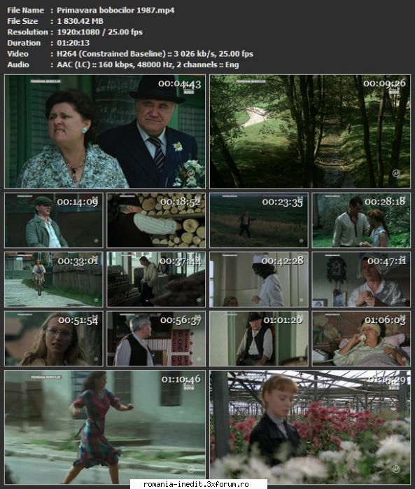 Primavara bobocilor (1985) - sasadoru - Filme rom�nesti - Romanian Movies