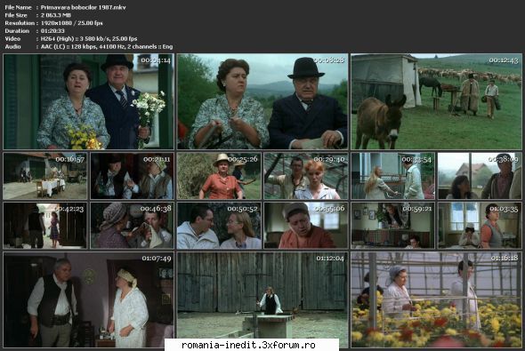 Primavara bobocilor (1985) - sasadoru - Filme rom�nesti - Romanian Movies