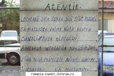Probleme gramaticale - savuavram - Funny