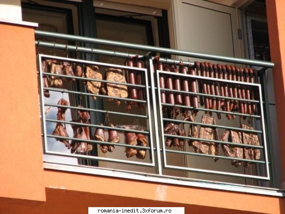 REZULTATE CONCURS - BALCONUL ANULUI 2008 - SoDMaster - Funny