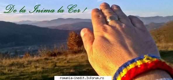 [RO] Brazii se fring, dar nu se indoiesc - Mulțumesc mult! - Carti audio