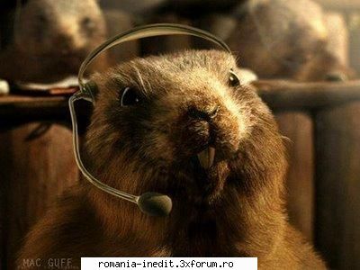 Radio Zu - Tonuri cu Ralucile - Zu - Disturbia Zu - Do it like a truck Zu-If u - PDA / Mobile Technology