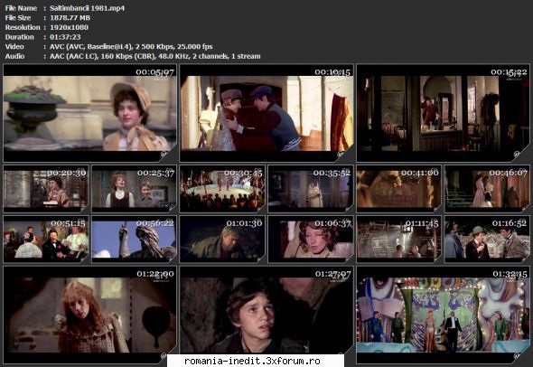 Saltimbancii (1981) - sasadoru - Filme rom�nesti - Romanian Movies