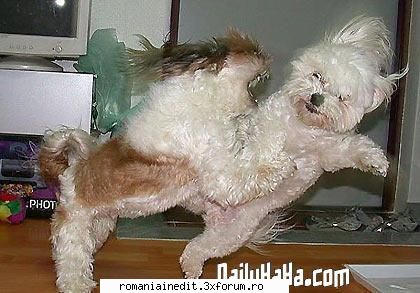 Screen din Matrix care nu a fost difuzat! - My name? SMITH! - Funny