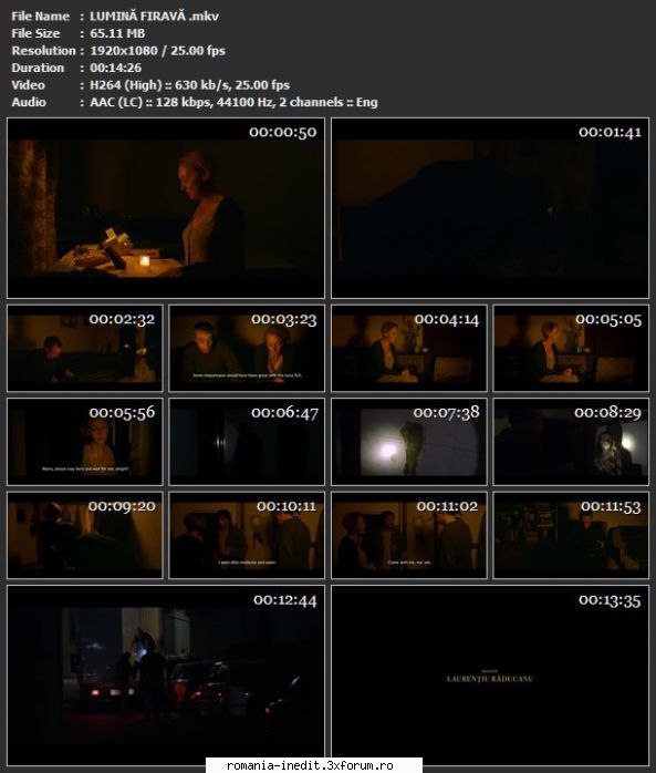 Scurtmetraje-Teatru scurt/radiofonic - Regie: Florina Dumitrache - Filme rom�nesti - Romanian Movies