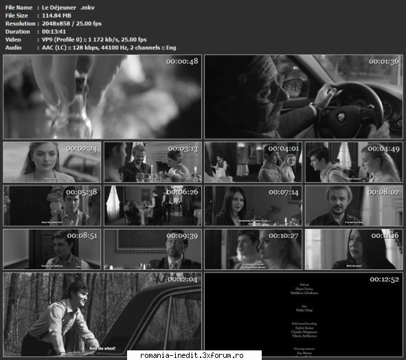 Scurtmetraje-Teatru scurt/radiofonic - Regie: Andrei Tache-Codreanu - Filme rom�nesti - Romanian Movies