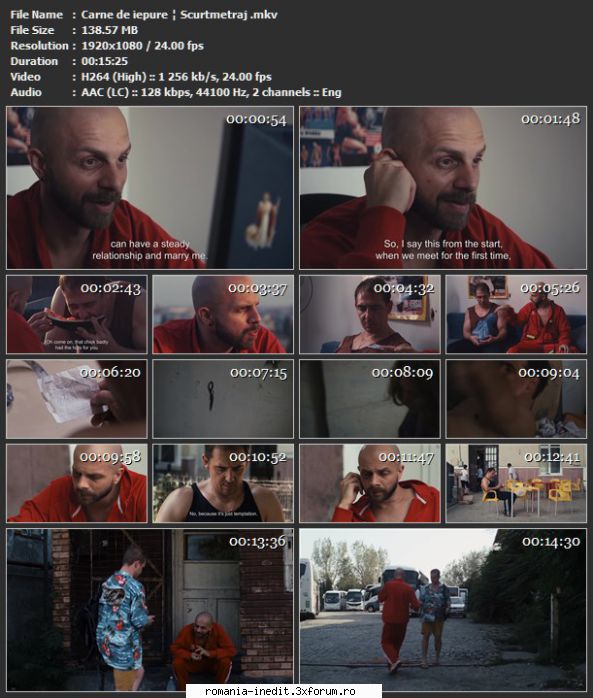 Scurtmetraje-Teatru scurt/radiofonic - Regie: Gabriel Achim Scenariu - Filme rom�nesti - Romanian Movies