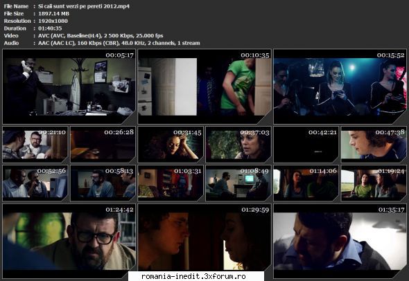 Si caii sunt verzi pe pereti (2012) - sasadoru - Filme rom�nesti - Romanian Movies