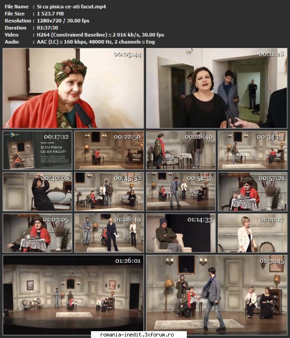 Și cu pisica ce-ați făcut?(TNB) - sasadoru - Teatru rom�nesc - Romanian Theater