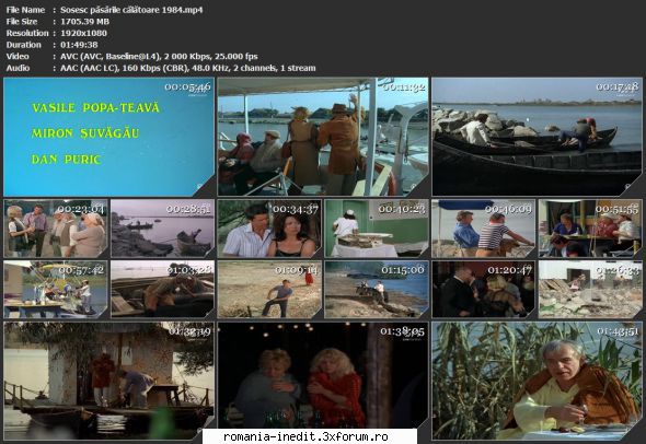 Sosesc pasarile calatoare (1984) - sasadoru - Filme rom�nesti - Romanian Movies
