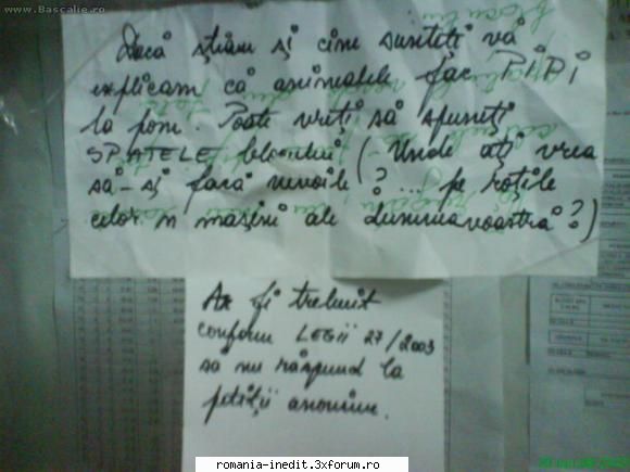 Telefonul fara fir intre vecini - bad_boy8679 - Funny