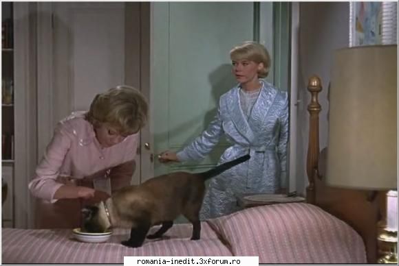 That Darn Cat (1965) - subtitrare inclusa - Filme clasice - Old Movies