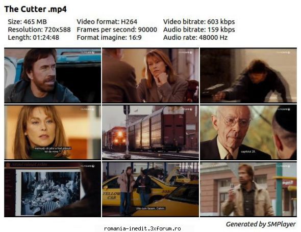 The Cutter (2005) - The Cutter (2005) TVRip / Mp4 Subtitrare / Romana - Filme - Movies