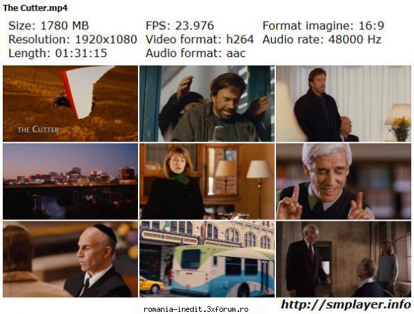 The Cutter (2005) - The Cutter (2005) Slefuitorul de diamante Audio / - Filme - Movies