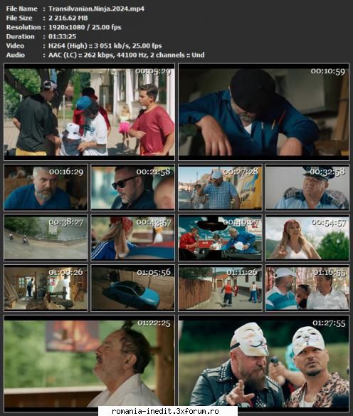 Transilvanian Ninja (2024) - Transilvanian Ninja (2024) Regia Alin Panc - Filme rom�nesti - Romanian Movies