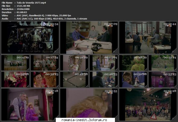 Tufa de Venetia (1977) - sasadoru - Filme rom�nesti - Romanian Movies