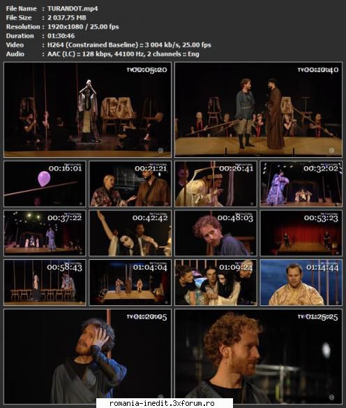 Turandot (Teatrul Excelsior Bucuresti) - Distribuţia: Dana Marineci - Teatru rom�nesc - Romanian Theater