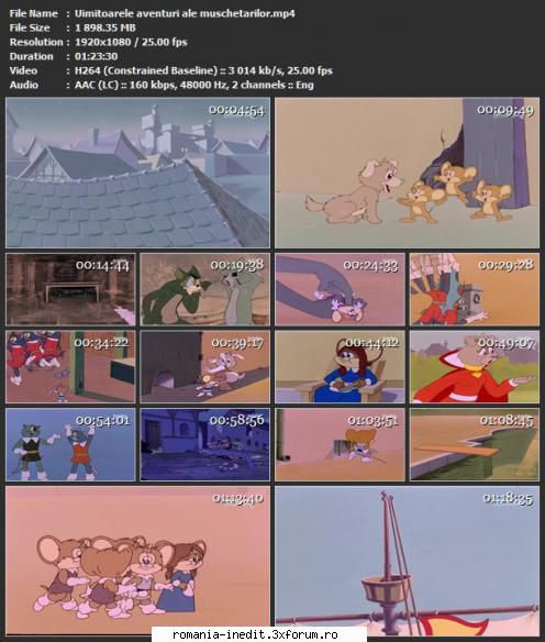 Uimitoarele aventuri ale muschetarilor - Uimitoarele aventuri ale - Filme pentru copii - Movies for kids