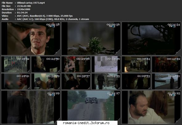 Ultimul Cartus (1974) - sasadoru - Filme rom�nesti - Romanian Movies