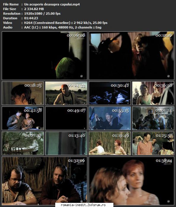 Un acoperis deasupra capului (2006) - sasadoru - Filme rom�nesti - Romanian Movies