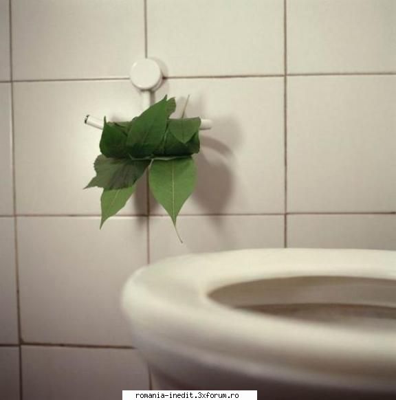 Un nou model de hartie igienica - si este biodegradabila - Funny